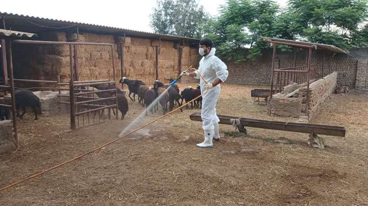 اجرای اردوی جهادی دامپزشکی با ارائه خدمات رایگان در روستای خواجه‌لر شهرستان بندرترکمن